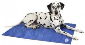 Scruffs Cooling Mat Blauw L