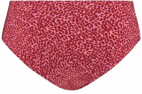 World of Women bikini brief