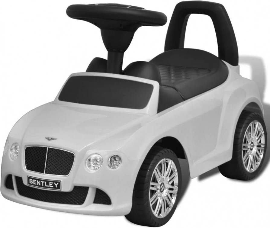 VIDAXL Bentley loopauto wit